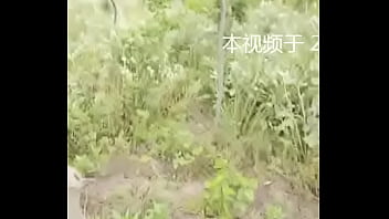 国产稀缺小马拉大车 2024