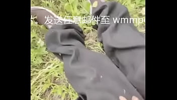 国产稀缺小马拉大车 2024