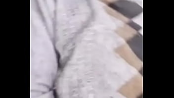 国产稀缺小马拉大车 2024