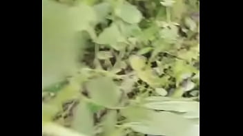 国产稀缺小马拉大车 2024