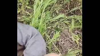 国产稀缺小马拉大车 2024