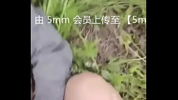 国产稀缺小马拉大车 2024