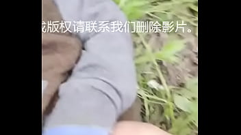 国产稀缺小马拉大车 2024