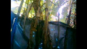 kerala kuliseen kerala kuliseen