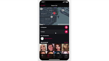 Pornstar Search Service