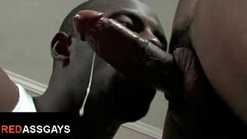 Ebony ghetto thugs fucking like Stallions