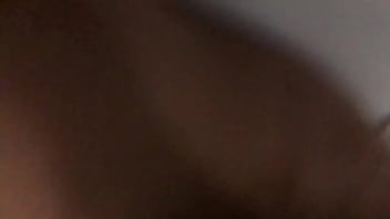 Des Papillons Partout