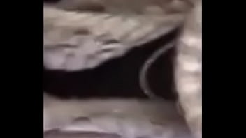 Vidéo De Vérification