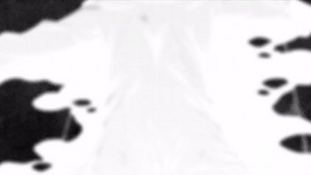 体力回復のため、奴隷に調教した猫耳ビキニ女子から聖乳を吸っていくドSツインテール女子・・・ 無料アニメ