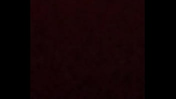 Vidéo De Vérification