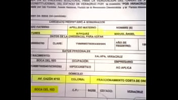 Desnudan A Candidato Del Pan A Veracruz...