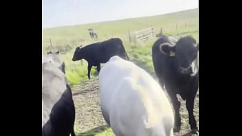 I am a country girl at heart! Would you have thought?  I find my peace in nature, soaking up the sun and embra...