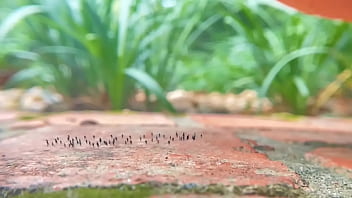 Giant Crushes Tiny People... Giant Crushes Tiny People...