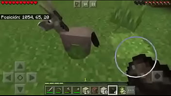 Me Culeo A Pendeja Primo Chocamos Nuestros Penes Grandes...