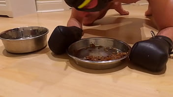 k9dogslave gets fed from its bowl