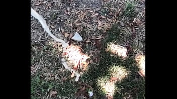 Man Cuming In Slowmoution...