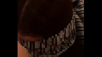 撮っ太郎の 撮日記 2024