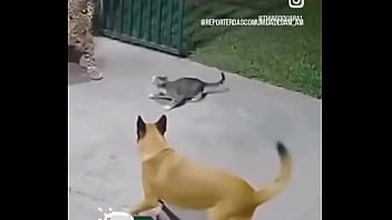 Meu pau e muito gostoso