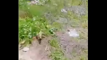 眼鏡大叔gay 2025 | XXXXVideo