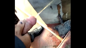 Macho pijon meando...