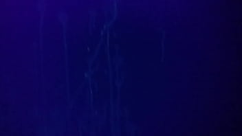 Video Cumshot stains above bed under blacklight comment please