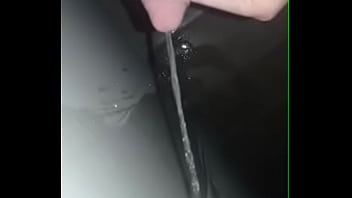 Late Night Staircase Pee