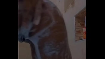 Sexy Caribbean teen girl skyyy876, naked shower, wet pussy and ass