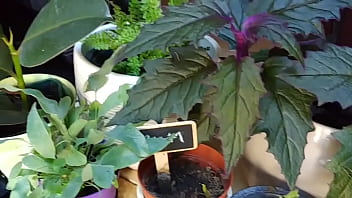 Lorem ipsum dolor sit amet, consectetur adipiscing elit. Quisque sapien.