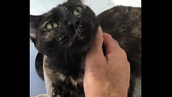 MAXXX LOADZ HANGING OUT WITH SOME COOL CATS ADOPT DONT SHOP