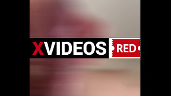 撮っ太郎日記 2025