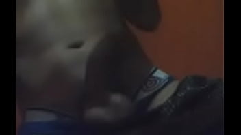 Brun Avec Une Tarte Pica