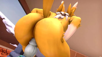 hentai, dragon dildo, renamon, furromantic