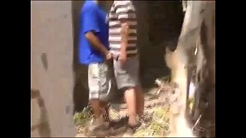 Amateur cruising in the woods II