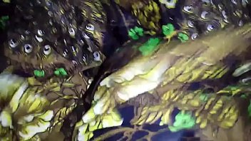 Pissing and cum on sexy aunty039 s another lungi...