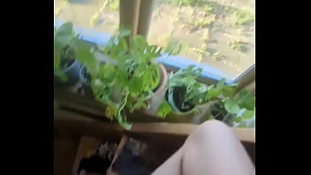 Jerk off at window