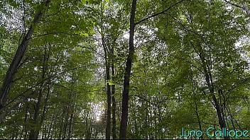 Spying on a hot girl masturbating in the woods