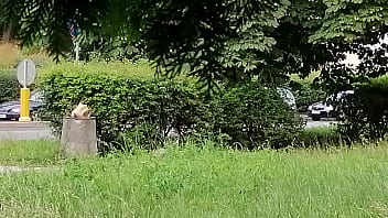 Uflash Dick 2025 | XXXXVideo