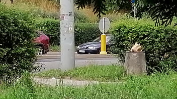 Uflash Dick 2025 | XXXXVideo