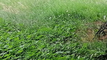 Uflash Dick 2025 | XXXXVideo