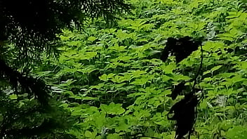 Uflash Dick 2025 | XXXXVideo