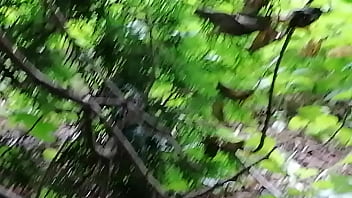 Uflash Dick 2025 | XXXXVideo