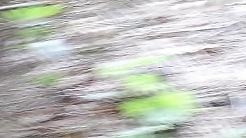 Uflash Dick 2025 | XXXXVideo