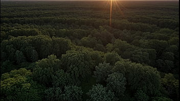 Secretly met my stepsister in the forest - AI generated
