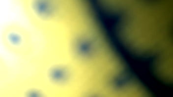 2 Chị Em Bé Vy Bị Hack Camera 2025 | XXXXVideo