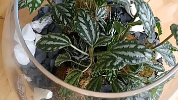 Lorem ipsum dolor sit amet, consectetur adipiscing elit. Quisque sapien.