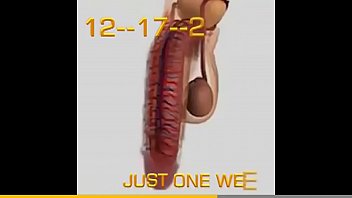 hot tattooed twin brothers barebac fucing on cam