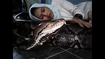 Vidéo De Vérification