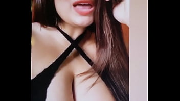 Prachtvolle Riesenmöpse