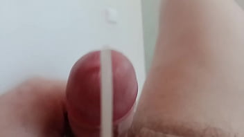 solo masturbation, cam, cock, solo