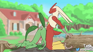 Blaziken & Grovyle (Taga)